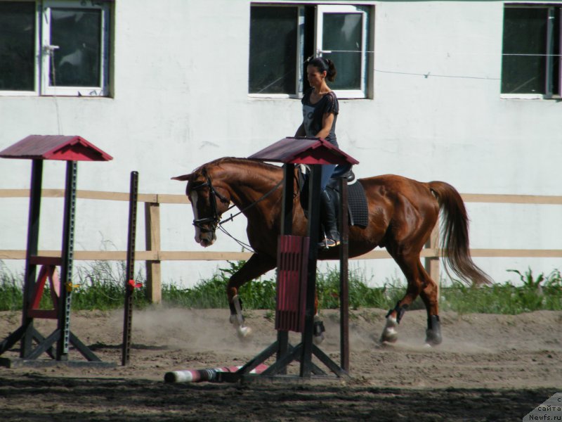 Фотография № 153941