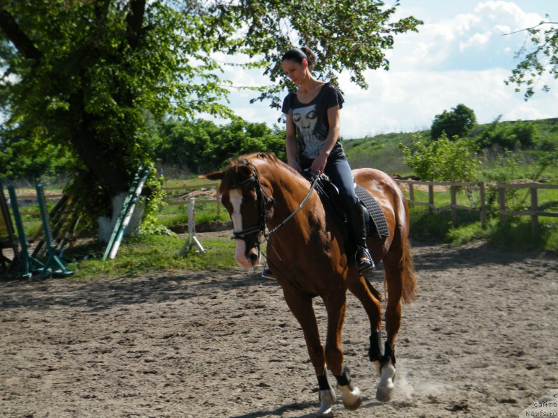 Фотография № 153942