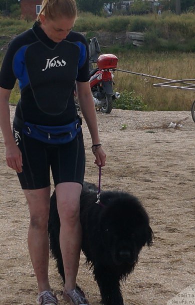 Фотография № 153999