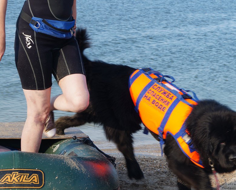 Фотография № 154000