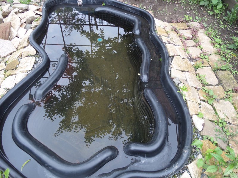 Фотография № 154039