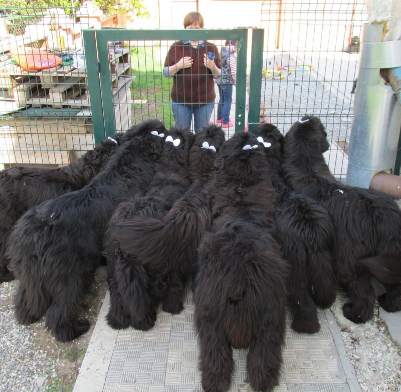 Фотография № 154046