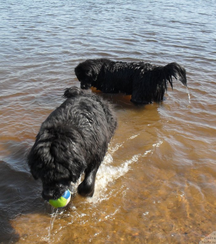 Фотография № 154048