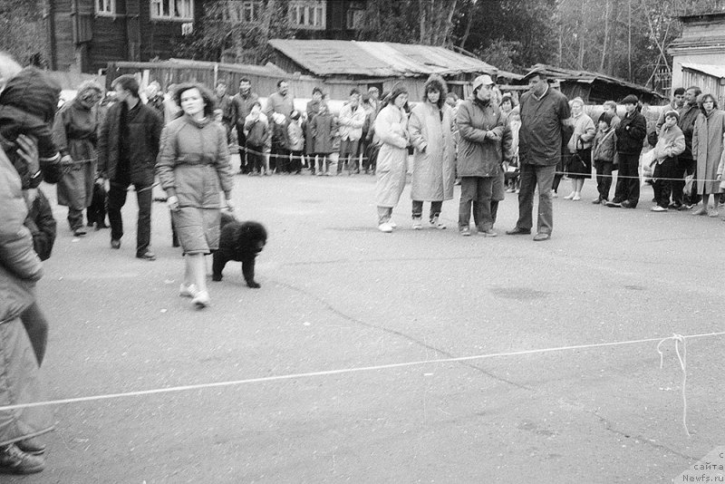 Фото: Анна Стальнова, Natal'ya Potehina (Наталья Потехина), Ян Маркод