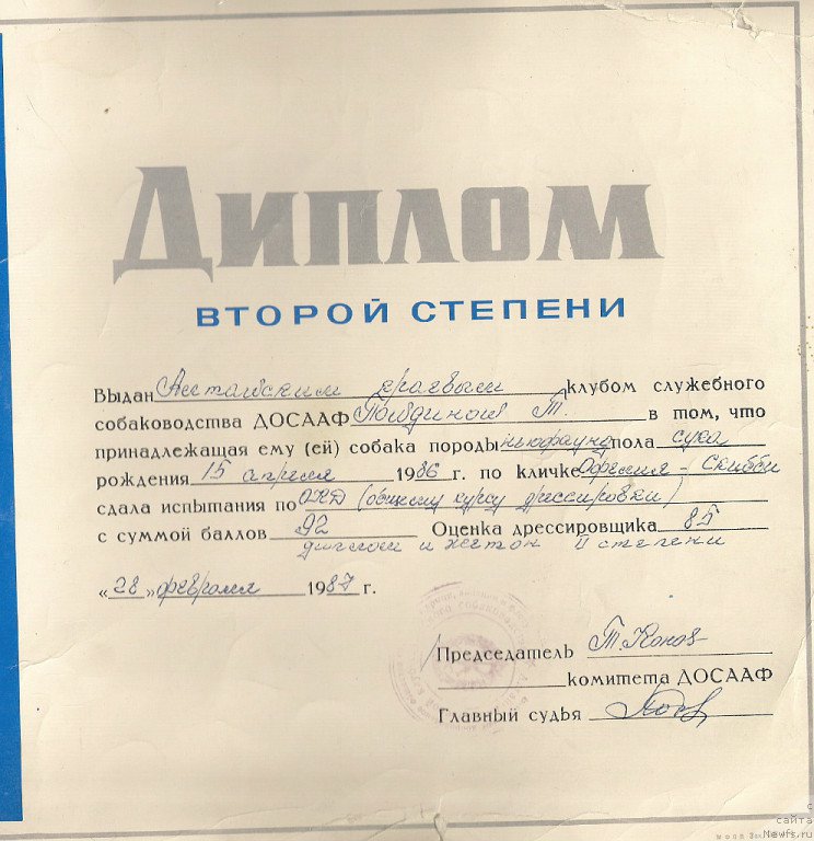 Фотография № 154057