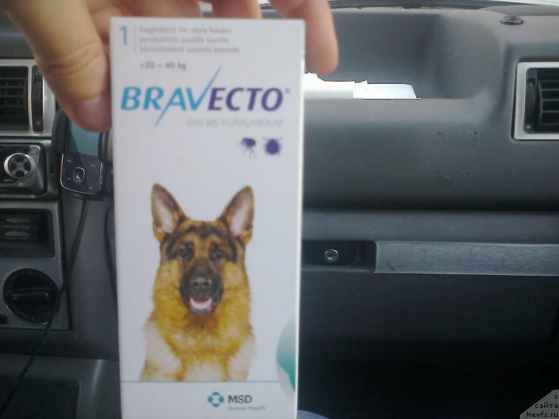 Фотография № 154068