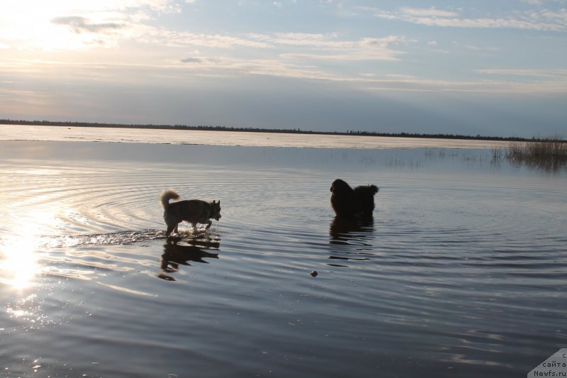 Фотография № 154081