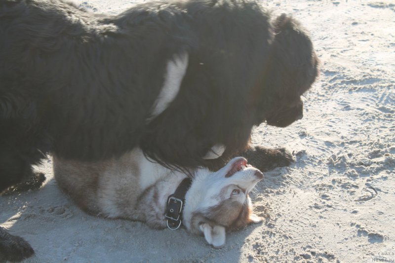 Фотография № 154083