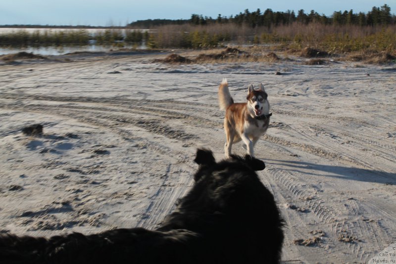 Фотография № 154084