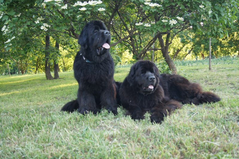 Фотография № 154092