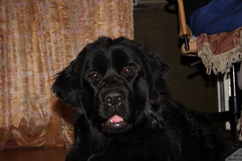 Фото: Igor' Grechishkin (Игорь Гречишкин)