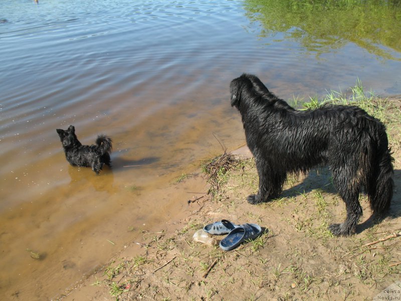 Фотография № 154142