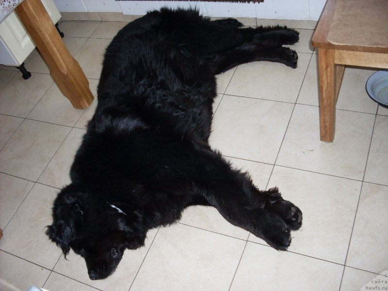 Фото: Inna Voronina (Инна Воронина)