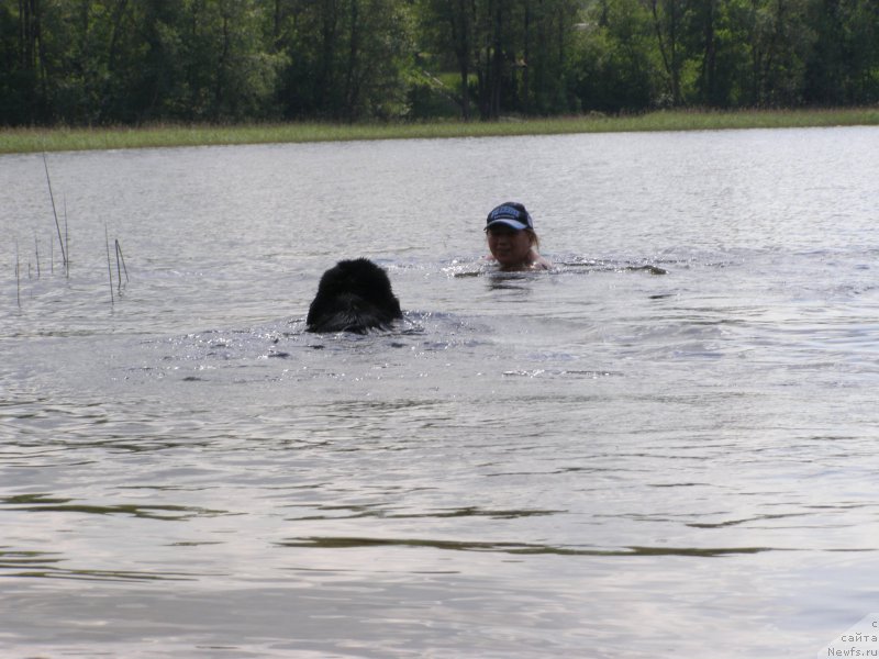 Фотография № 154203