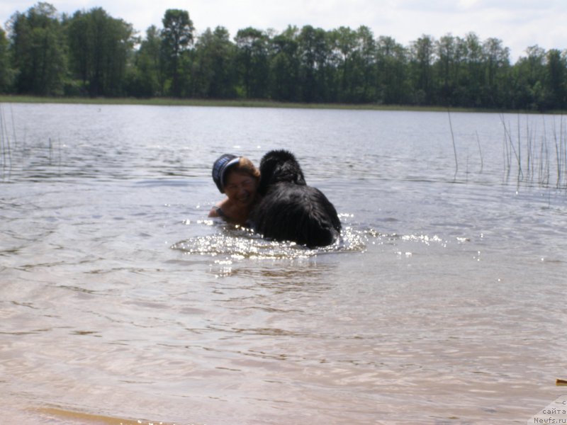 Фотография № 154204