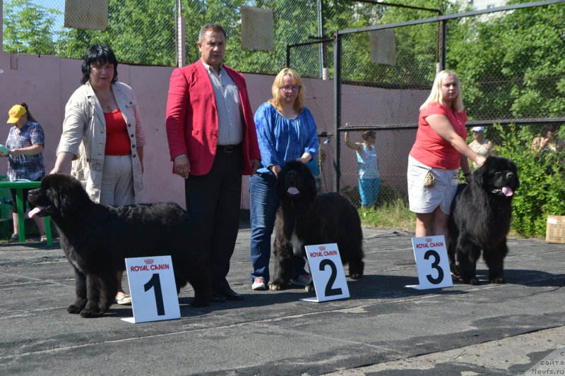 Фотография № 154222