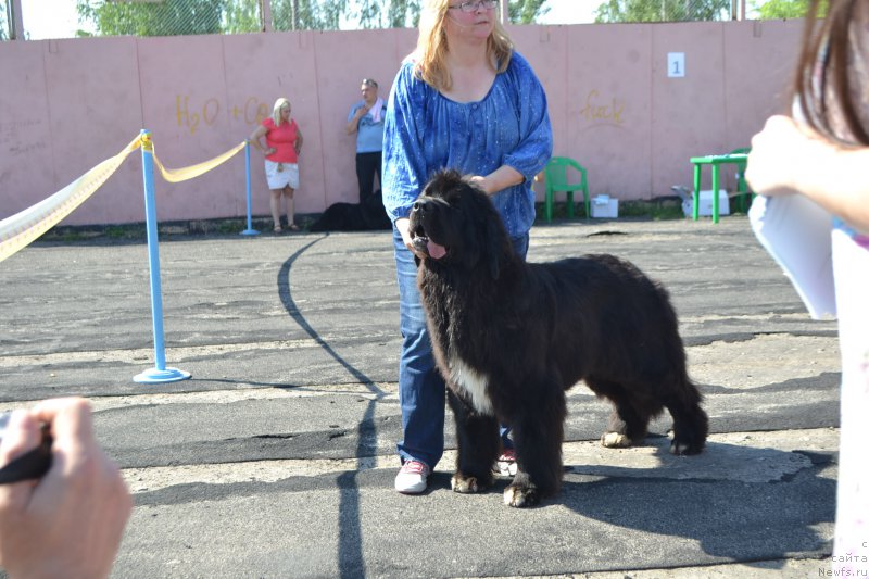 Фотография № 154224