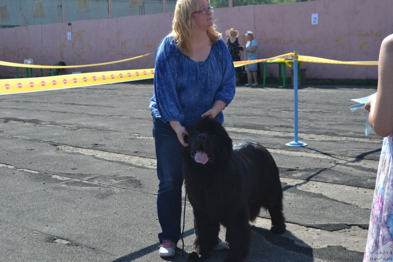 Фотография № 154225