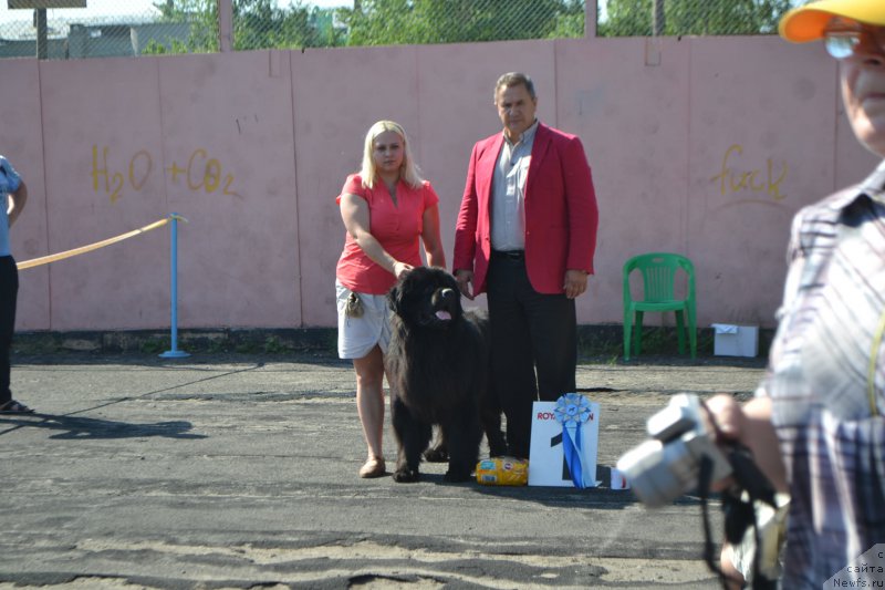 Фотография № 154229