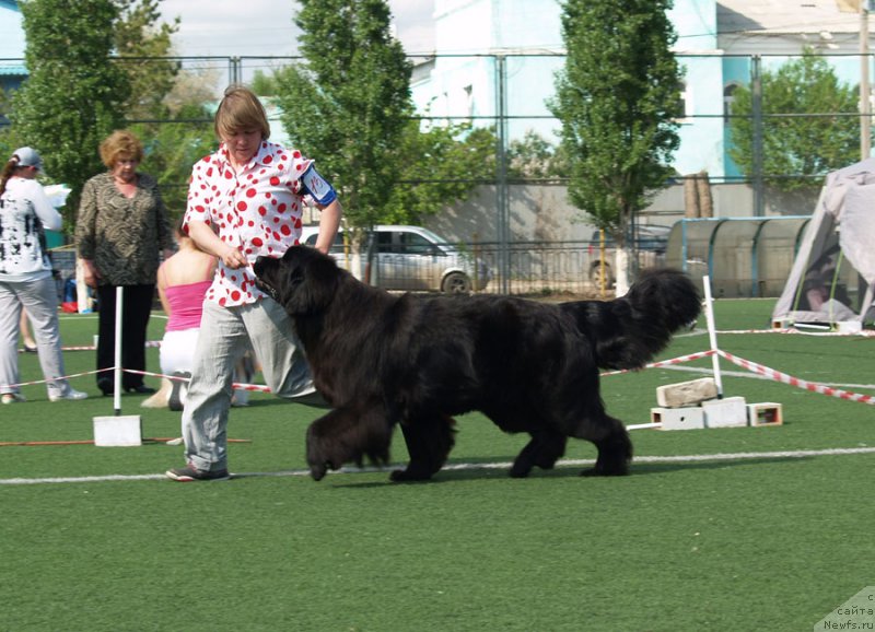 Фотография № 154231