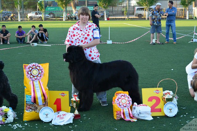 Фотография № 154233