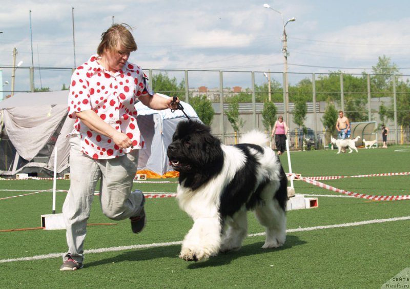 Фотография № 154236