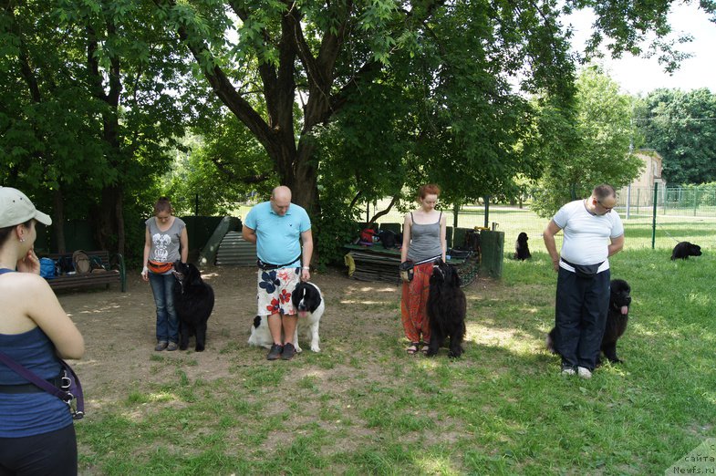 Фотография № 154242