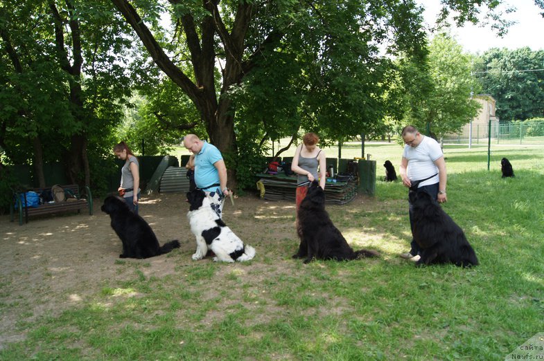 Фотография № 154243