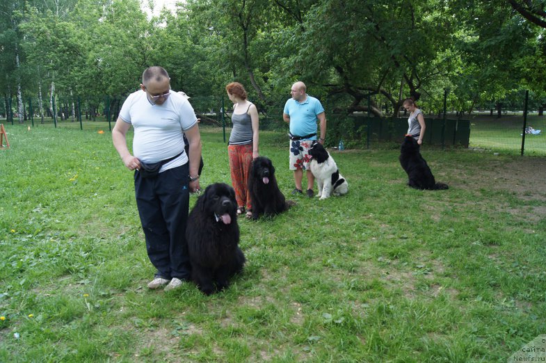 Фотография № 154244