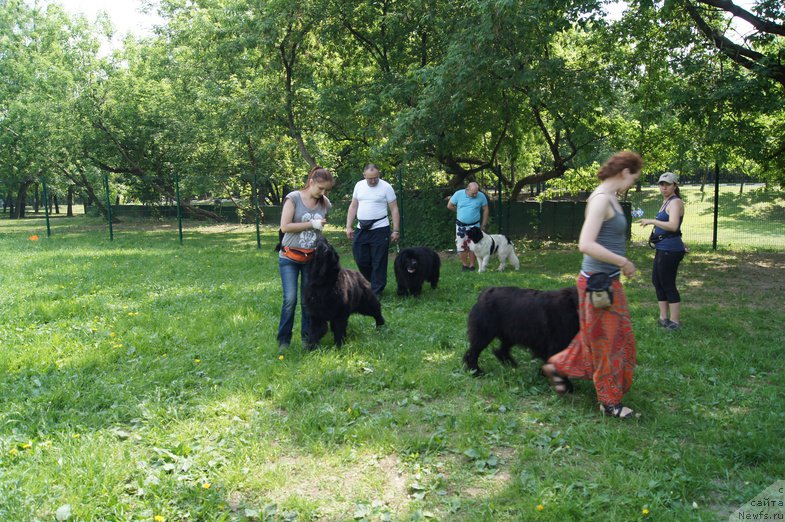 Фотография № 154245