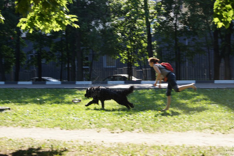 Фотография № 154248