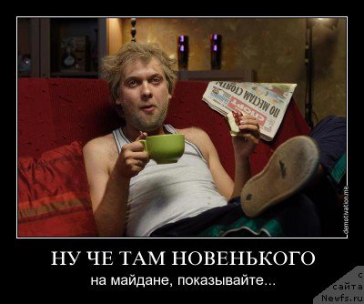 Фото: ньюфаундленд Chrezvychaynaya Chayn s Berega Dona (Чрезвычайная Чайн с Берега Дона)