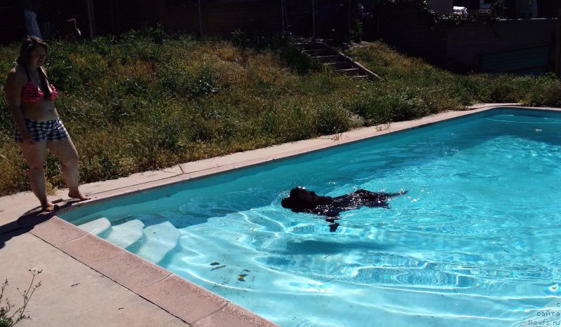 Фотография № 154260