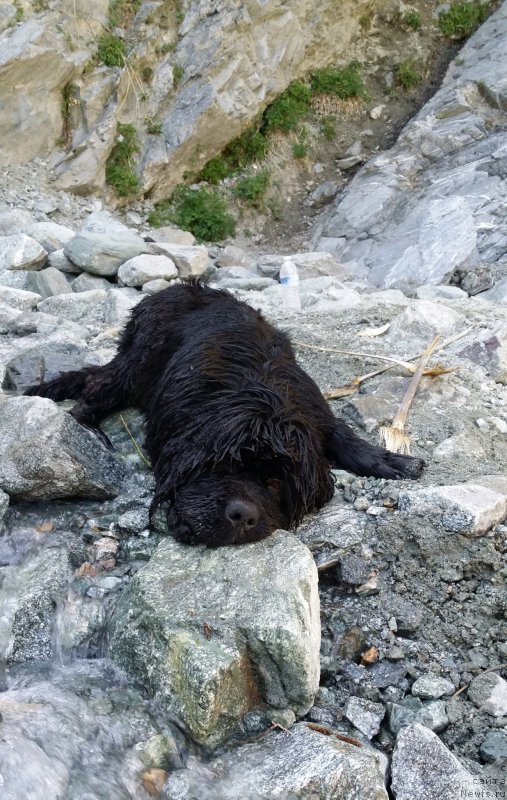 Фотография № 154261