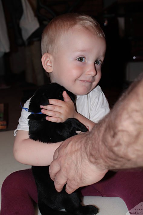 Фотография № 154273