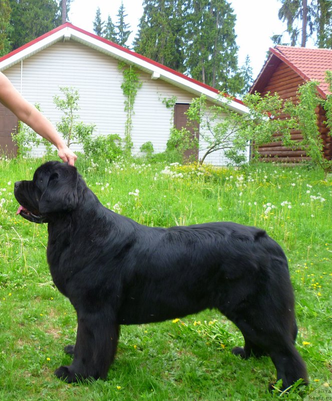 Фотография № 154284