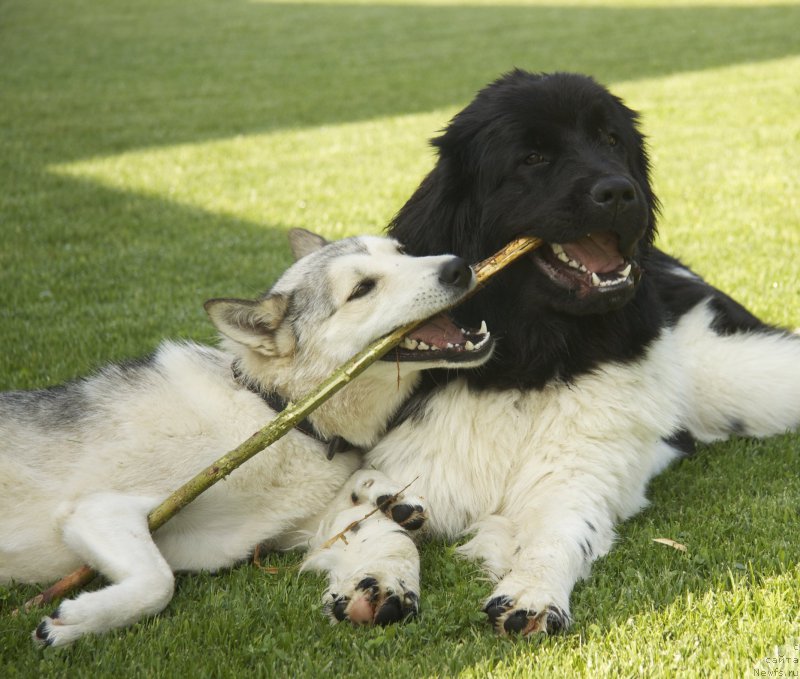 Фотография № 154287