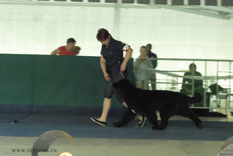 Фотография № 154297