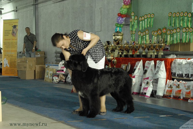 Фотография № 154348