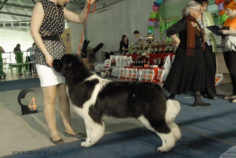 Фотография № 154388