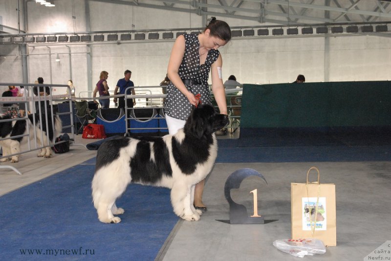 Фотография № 154392