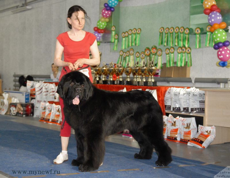 Фотография № 154467