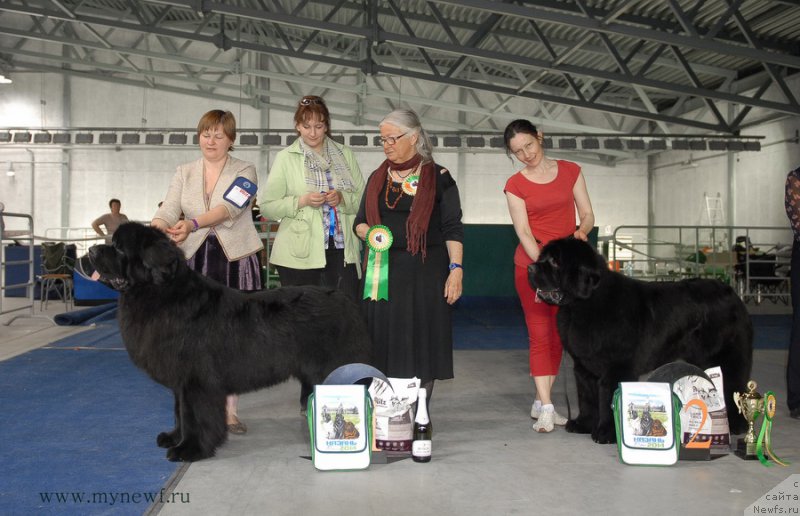 Фотография № 154503