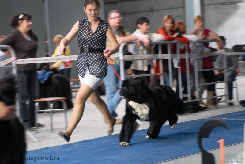 Фотография № 154595