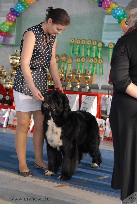 Фотография № 154600