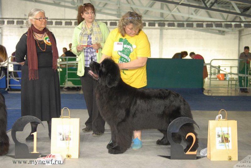 Фотография № 154641