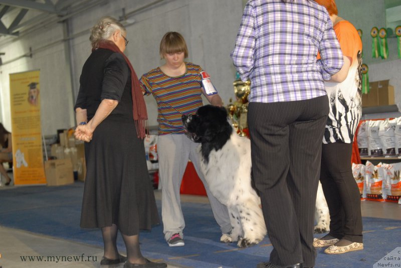 Фотография № 154677