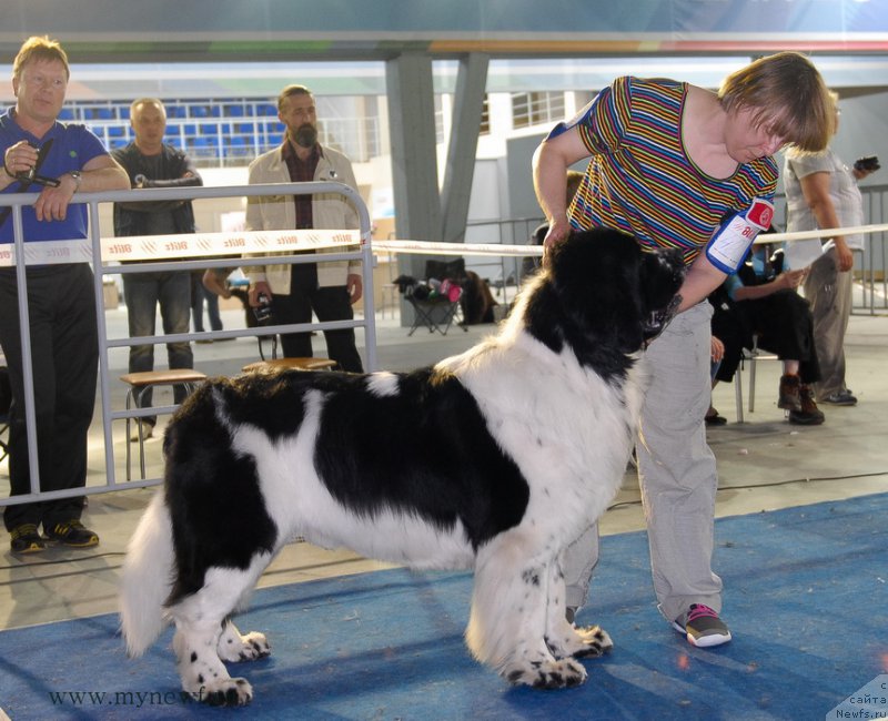 Фотография № 154682