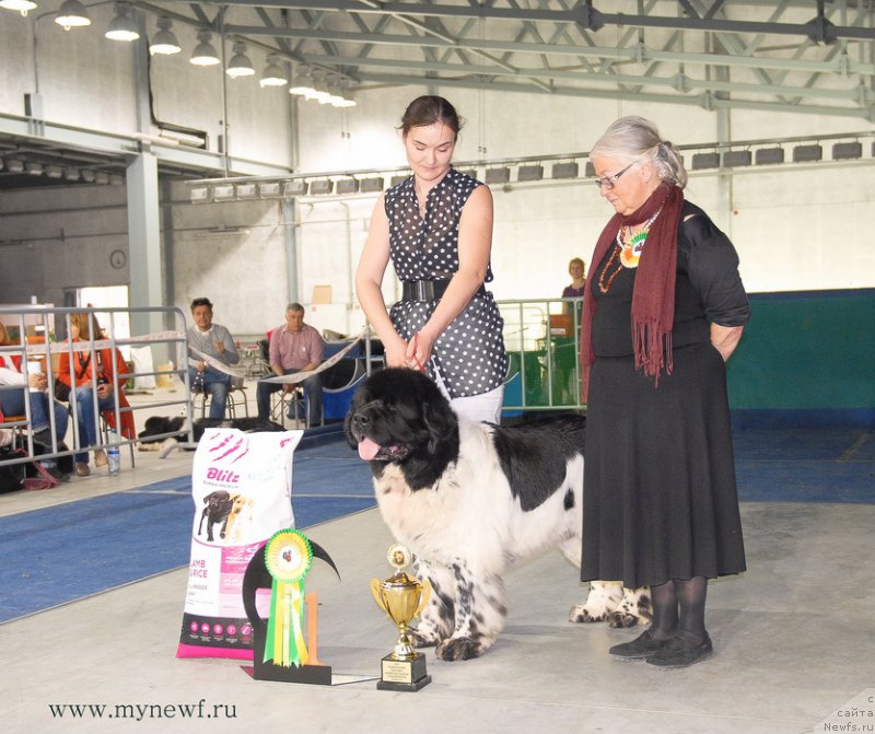 Фотография № 154847