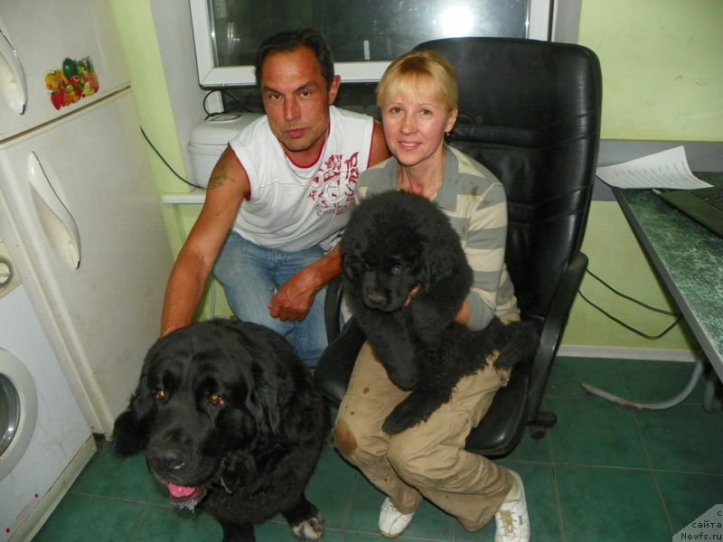 Фотография № 154921